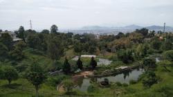 DKI Jakarta Segera Tambah Ruang Terbuka Hijau Baru