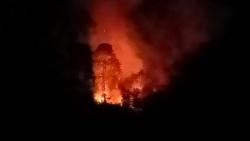 Bukit Bungus Padang Terbakar, Petugas Kewalahan Padamkan Api