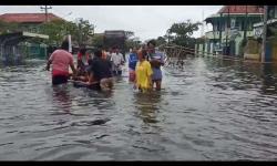 Banjir Pekalongan Masih Tinggi, Fasilitas Pelayanan Publik Lumpuh Total<