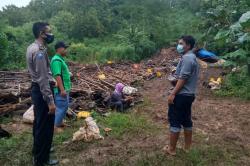  Kandang Ambruk Diterjang Hujan Deras, 1.000 Ekor Ayam di Gunungkidul Mati