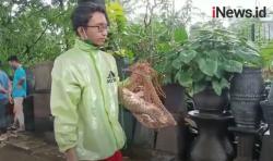 Video Warga Menjala Ikan di Jalan TB Simatupang Jaksel saat Banjir