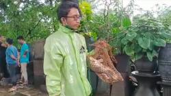 Jala Ikan di Jalan TB Simatupang, Warga Dapat Ikan Mas Besar-Besar