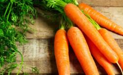 Makanan dan Minuman Ini Baik untuk Kesehatan Gigi, Salah Satunya Wortel