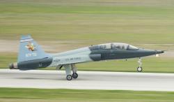 Pesawat Latih Militer T-38 Jatuh di Hutan, 2 Pilot Angakatan Udara AS Tewas