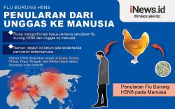 Infografis Rusia Konfirmasi Kasus Pertama Manusia Terinfeksi Flu Burung H5N8