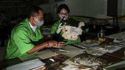 Dokumen Penting Rusak karena Banjir, ANRI Berikan Layanan Restorasi Gratis