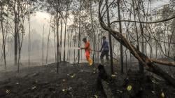 Cuaca Panas, Hutan Kawasan Bandara Hang Nadim Terbakar