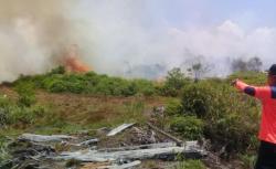 Lahan Sawit Milik Mantan Jenderal di Agam Terbakar, Petugas Kewalahan