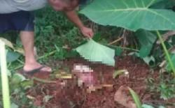 Asyik Kejar Layangan, Warga Cibinong Kaget Temukan Jasad Bayi Terkubur di Kebun<