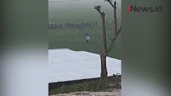 Video Presiden Jokowi Hujan-hujanan di Sawah Sumba Tengah NTT