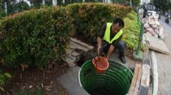 Atasi Banjir, Pemprov DKI Tahun Ini Bangun 300.000 Sumur Resapan 