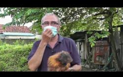 Kisah Zulfadli, Dosen Ekonomi Raih Untung dari Pelihara Ayam Kapas