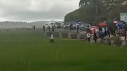 Video Presiden Jokowi Kunjungi Food Estate di Sumba Tengah NTT