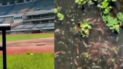 Video Tribun Timur Stadion GBLA Jadi Kolam Ikan Hias Viral di Medsos