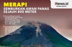 Infografis Gunung Merapi Semburkan Awan Panas Sejauh 800 Meter