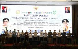 Produktivitas Sawah di Sumsel Kalah dari Lampung, Ini Penjelasan Kadis Pertanian <