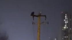 Viral Pria Ini Sit up di Puncak Tiang Listrik, Puluhan Ribu Rumah Mati Lampu