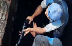 Video Tumpukan Limbah Kabel Ditemukan Menyumbat Saluran Air di Kemayoran