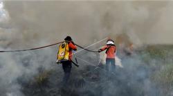 Dalam 2 Bulan, 25 Kali Karhutla terjadi di Aceh dengan Luas Area Terbakar Capai 83 Hektare 