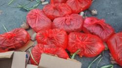 Razia di Pelabuhan Sangihe, Petugas Temukan 233 Liter Cap Tikus dan 100 Kg Sianida 