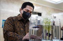 Cerita Cupang dan Semangat Erick Thohir Memulai Bisnis