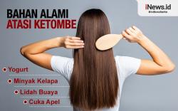 Infografis Bahan Alami Atasi Ketombe