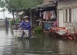 Video Harga Ikan Naik akibat Dampak Banjir di Jateng