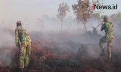 Video 6 Hektare Lahan Gambut Terbakar di Nagan Raya Aceh