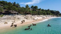Nikmati Keindahan Nihi Sumba secara Virtual