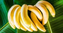 4 Buah Ini Bisa Tingkatkan Stamina, Pas Dikonsumsi saat Lagi Loyo