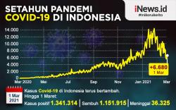 Infografis Setahun Pandemi Covid-19 di Indonesia