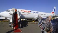 Pesawat Komersial Terpaksa Mendarat Darurat Setelah Pilot Diserang Kucing
