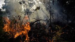 34 Titik Panas akibat Kebakaran Hutan Terpantau di Riau