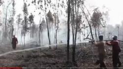 Sepekan Lebih, Kebakaran Gambut di Cagar Biosfer Giam Siak Kecil Belum Padam