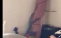 Video Biawak 1 Meter Masuk Kamar Warga Kotawaringin Kalteng