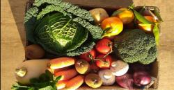 Aneh! Penjual Buah Ini Dilarang Jajakan Dagangan Sambil Teriak di Pasar