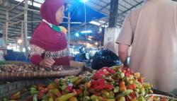 Harga Cabai Rawit Domba di Cianjur Rp110.000 Per Kg, Diprediksi hingga Lebaran<
