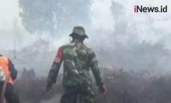 Video 60 Hektare Lahan Gambut Milik Petani di Kotawaringin Barat Terbakar