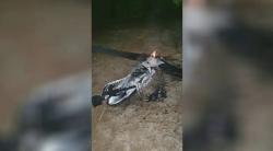 Houthi Makin Menggila, Serang Arab Saudi dengan 8 Drone Berpeledak dalam Sehari