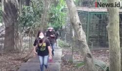 Mengenali Satwa Sambil Berwisata di Pusat Penyelamatan Satwa Tasikoki Minahasa Utara