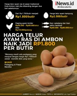 Infografis Harga Telur Ayam Ras di Ambon Naik