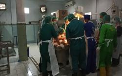 Kisah Menantu Racuni Mertua hingga Tewas, Pelaku Istri Kedua<