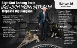 Infografis 2 Anjing Joe Biden Harus 'Pulang Kampung'