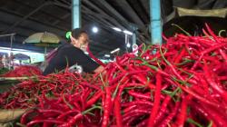 Harga Cabai di Salatiga Semakin Pedas, Tembus Rp120.000 per Kilogram