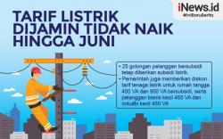Infografis Tarif Listrik Dijamin Tidak Naik hingga Juni