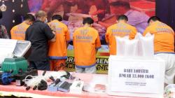 Polresta Sidoarjo Gagalkan Pengiriman Benih Lobster Ilegal