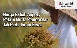 Infografis Harga Gabah Anjlok, Petani Minta Pemerintah Tak Perlu Impor Beras