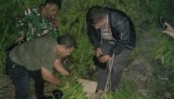 Dikendalikan dari Lapas, Narkoba di Pontianak Masuk Lewat Perbatasan RI-Malaysia