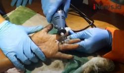 Video Petugas Damkar Lepas 13 Cincin dari Tangan PMKS