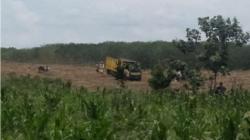 Oknum Pejabat Diduga Sewakan Lahan Aset Milik Pemkab Simalungun Seluas 200 Hektare<
